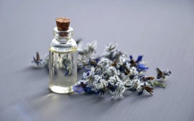 Alchemy Essence – 16th of October